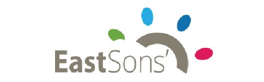 Website Design and Development Company in Noida